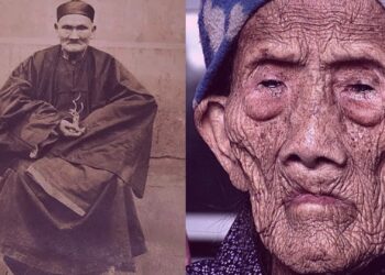 chinez 256 de ani