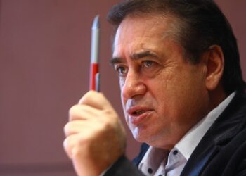 ioan neculae