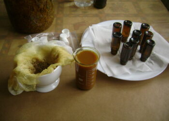 tinctura de propolis