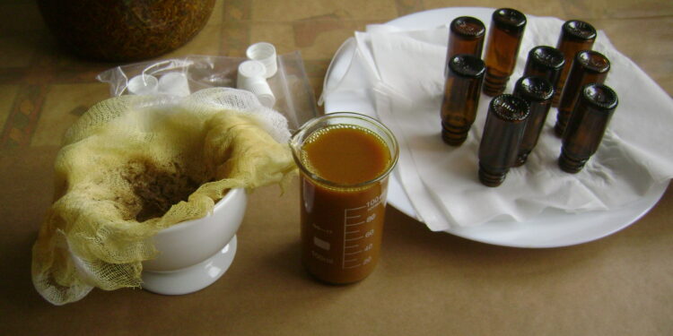 tinctura de propolis