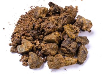 propolis