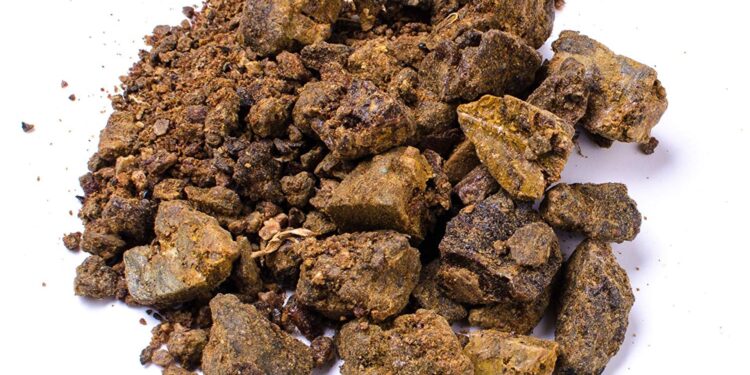 propolis