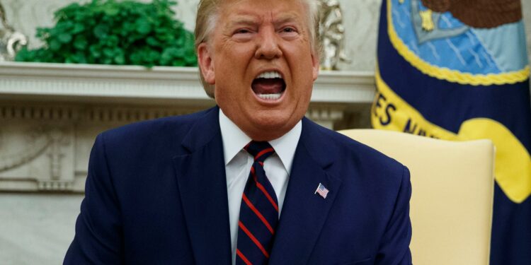 donald trump