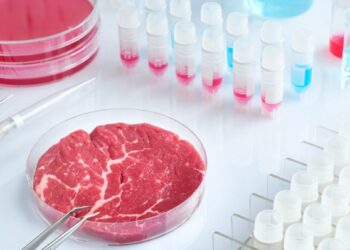 carne artificiala