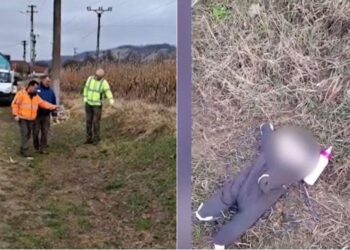 Caz șocant în Sibiu. Un bebeluş a fost abandonat pe câmp