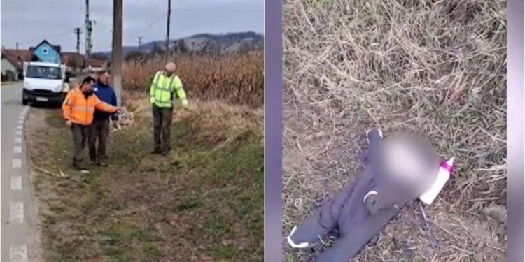 Caz șocant în Sibiu. Un bebeluş a fost abandonat pe câmp