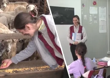 Maria, dascăl și fermier. Dimineața le predă elevilor, iar după ore se ocupă de ferma familiei